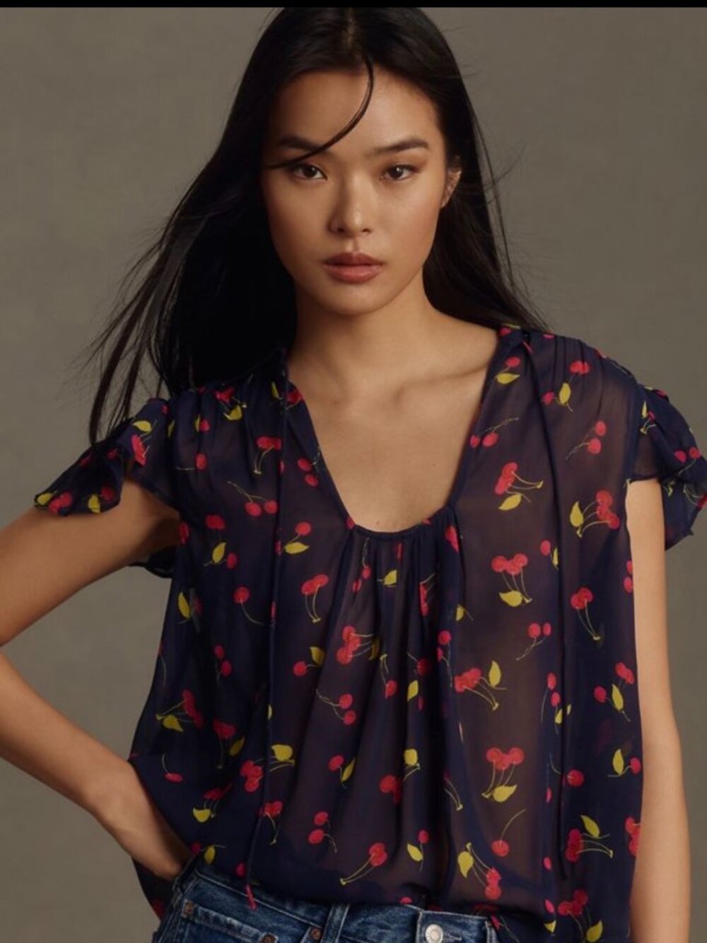NWT Maeve for Anthropologie Navy Sheer Cherry U-Neck Popover Blouse Large